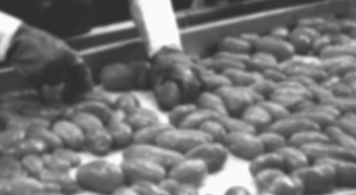 salvati-spa-mercato-san-severino-home-alfabeto-della-qualita-riassunti